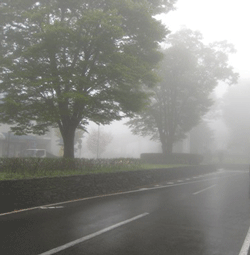 名古屋の霧